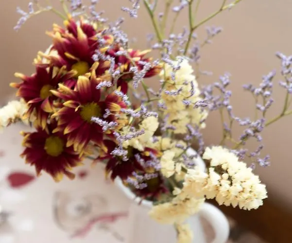 Valledium Bed and Breakfast Valeggio sul Mincio