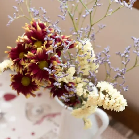 Valledium Bed & Breakfast Valeggio sul Mincio