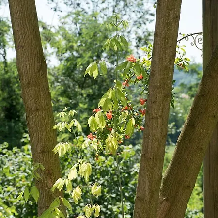 فندق مبيت وإفطار Valledium *