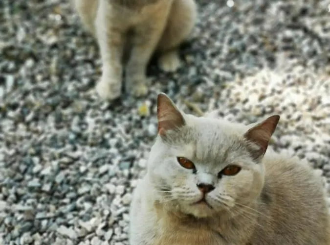 Nocleg ze śniadaniem Valledium