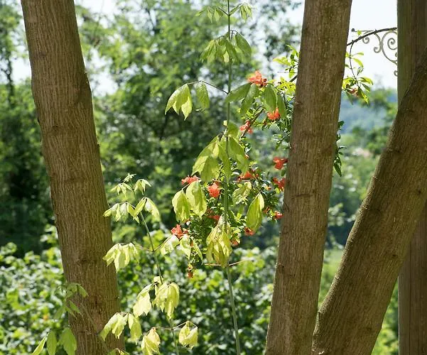 Nocleg ze śniadaniem Valledium *